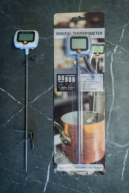 Digital Thermometer