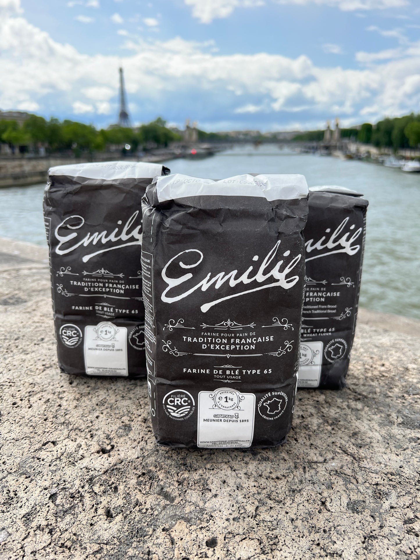 French Type 65 Traditional Bread Flour